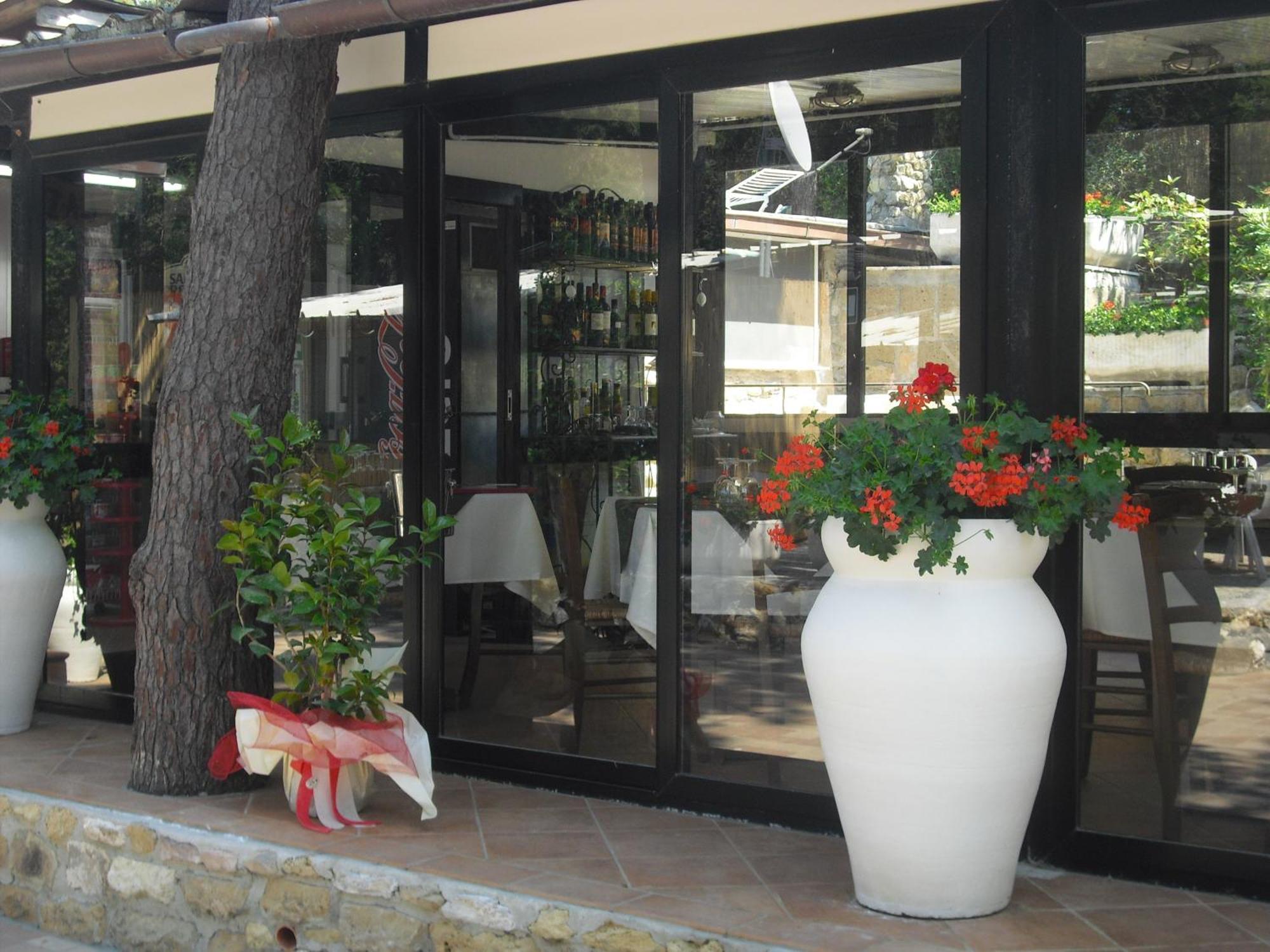 Camping Casa Di Caccia Marina Di Bibbona Exterior foto